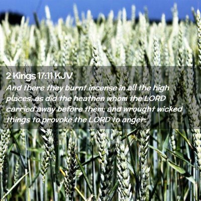 2 Kings 17:11 KJV Free Bible Images