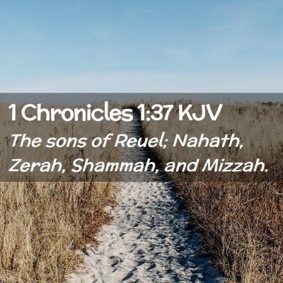 1 Chronicles 1:37 KJV Free Bible Images