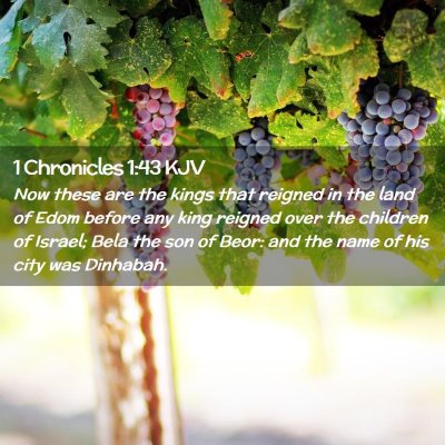 1 Chronicles 1:43 KJV Free Bible Images