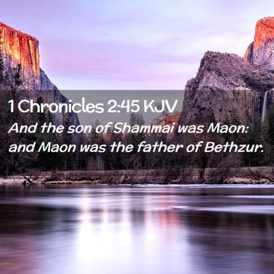 1 Chronicles 2:45 KJV Free Bible Images