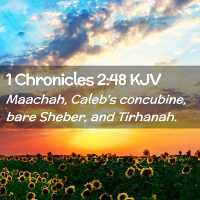 1 Chronicles 2:48 KJV Free Bible Images