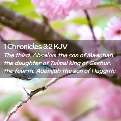 1 Chronicles 3:2 KJV Free Bible Images