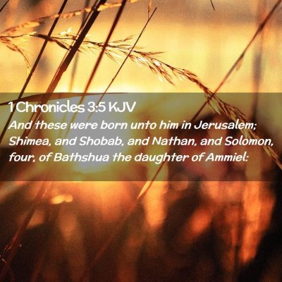 1 Chronicles 3:5 KJV Free Bible Images