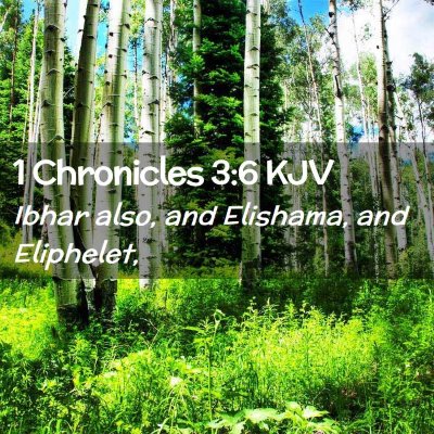 1 Chronicles 3:6 KJV Free Bible Images