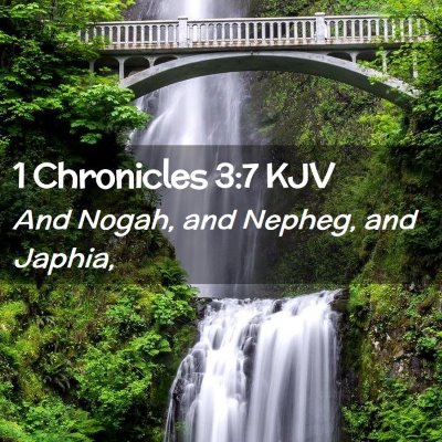 1 Chronicles 3:7 KJV Free Bible Images