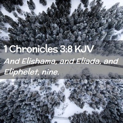 1 Chronicles 3:8 KJV Free Bible Images