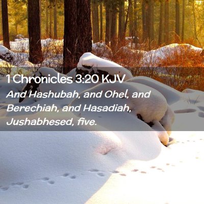 1 Chronicles 3:20 KJV Free Bible Images