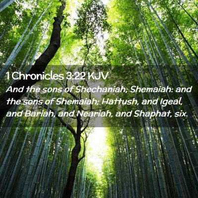 1 Chronicles 3:22 KJV Free Bible Images