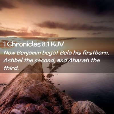 1 Chronicles 8:1 KJV Free Bible Images