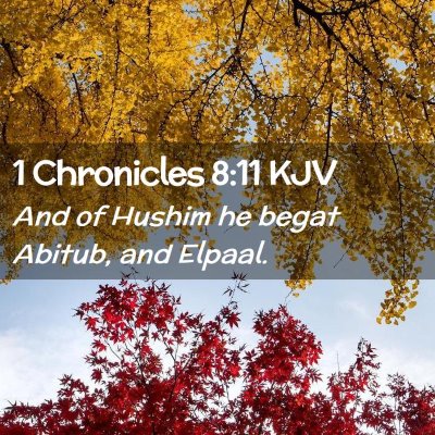 1 Chronicles 8:11 KJV Free Bible Images