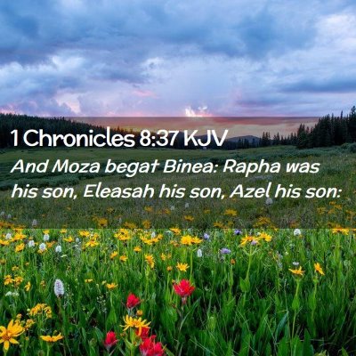 1 Chronicles 8:37 KJV Free Bible Images