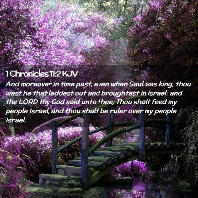 1 Chronicles 11:2 KJV Free Bible Images