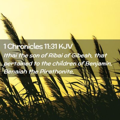 1 Chronicles 11:31 KJV Free Bible Images