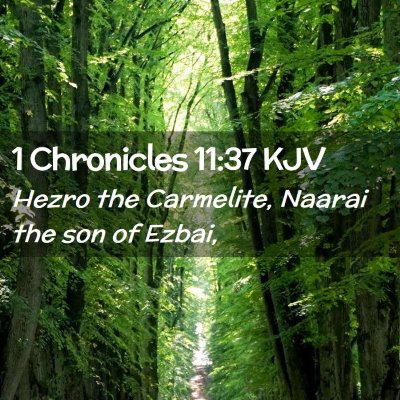 1 Chronicles 11:37 KJV Free Bible Images