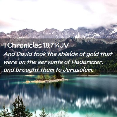 1 Chronicles 18:7 KJV Free Bible Images