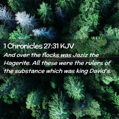 1 Chronicles 27:31 KJV Free Bible Images