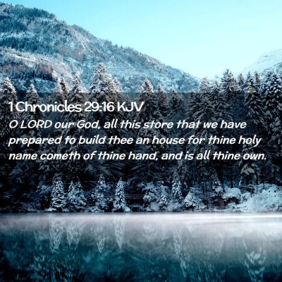 1 Chronicles 29:16 KJV Free Bible Images