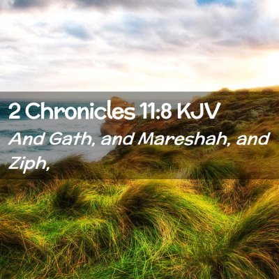 2 Chronicles 11:8 KJV Free Bible Images