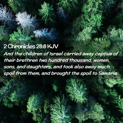 2 Chronicles 28:8 KJV Free Bible Images