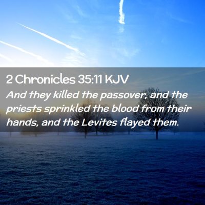 2 Chronicles 35:11 KJV Free Bible Images