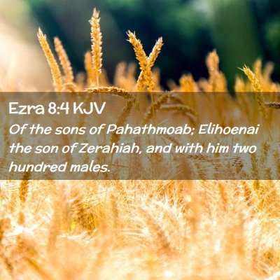 Ezra 8:4 KJV Free Bible Images