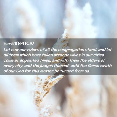 Ezra 10:14 KJV Free Bible Images