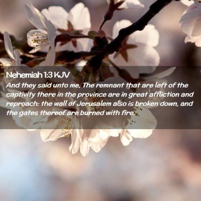 Nehemiah 1:3 KJV Free Bible Images