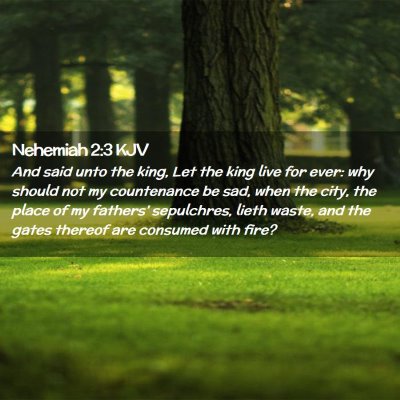 Nehemiah 2:3 KJV Free Bible Images