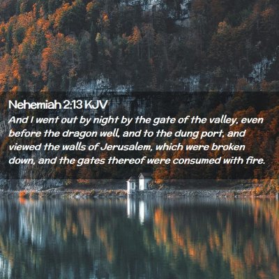 Nehemiah 2:13 KJV Free Bible Images