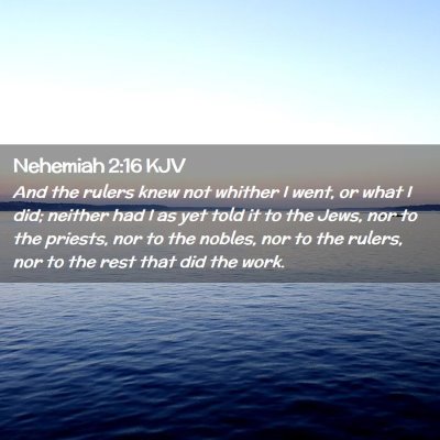 Nehemiah 2:16 KJV Free Bible Images