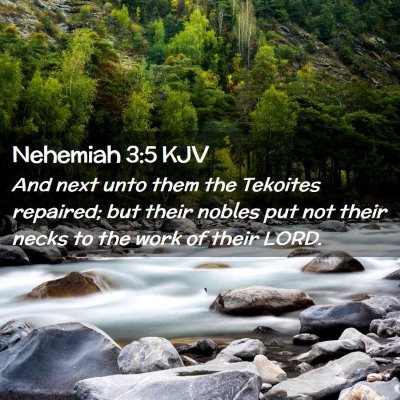 Nehemiah 3:5 KJV Free Bible Images