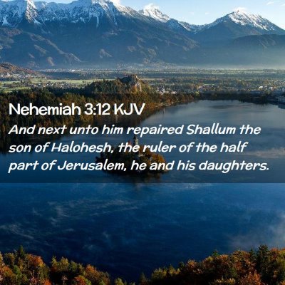 Nehemiah 3:12 KJV Free Bible Images