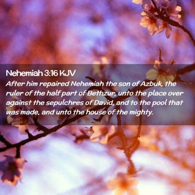 Nehemiah 3:16 KJV Free Bible Images