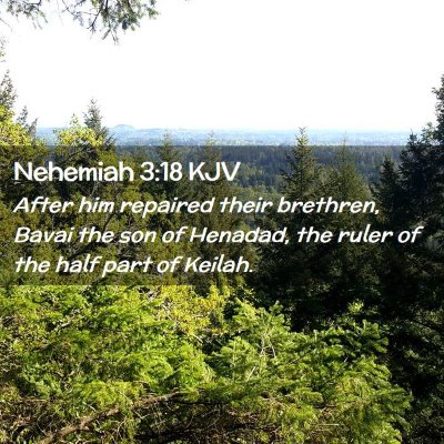 Nehemiah 3:18 KJV Free Bible Images