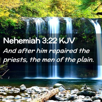 Nehemiah 3:22 KJV Free Bible Images