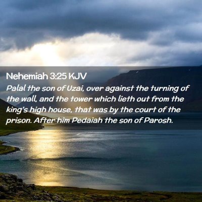 Nehemiah 3:25 KJV Free Bible Images