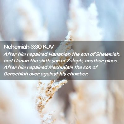 Nehemiah 3:30 KJV Free Bible Images