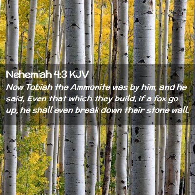 Nehemiah 4:3 KJV Free Bible Images