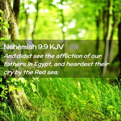 Nehemiah 9:9 KJV Free Bible Images