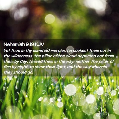 Nehemiah 9:19 KJV Free Bible Images