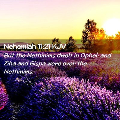 Nehemiah 11:21 KJV Free Bible Images