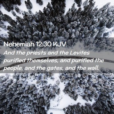 Nehemiah 12:30 KJV Free Bible Images