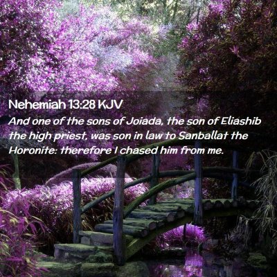 Nehemiah 13:28 KJV Free Bible Images