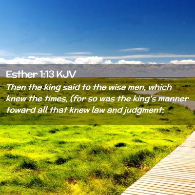 Esther 1:13 KJV Free Bible Images