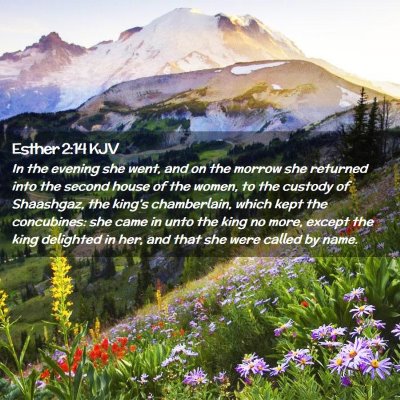 Esther 2:14 KJV Free Bible Images