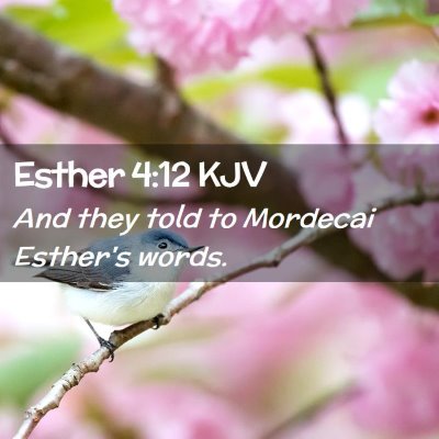 Esther 4:12 KJV Free Bible Images