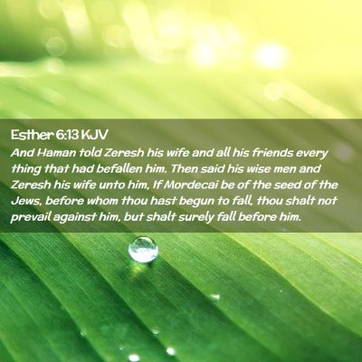 Esther 6:13 KJV Free Bible Images