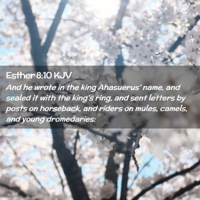 Esther 8:10 KJV Free Bible Images