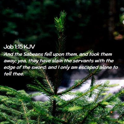 Job 1:15 KJV Free Bible Images