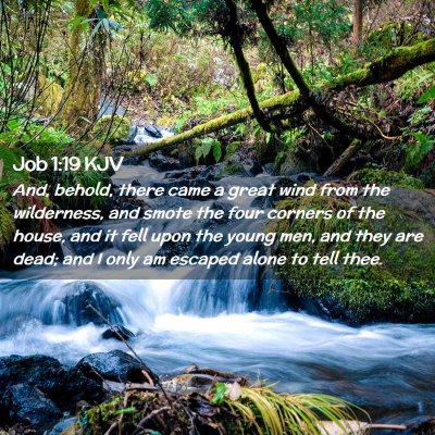 Job 1:19 KJV Free Bible Images